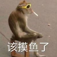 小王同志i于2023-11-17 11:12发布的图片