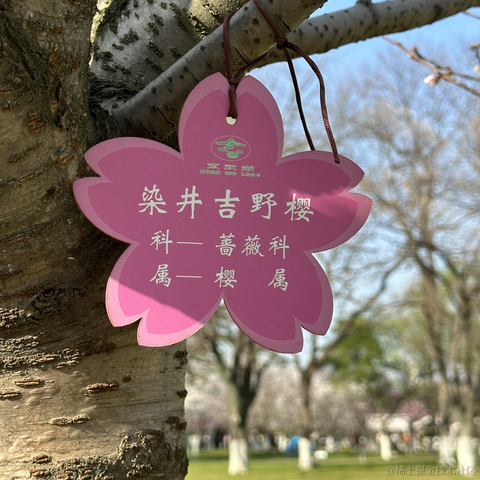 那我关月亮咯于2023-03-15 17:37发布的图片
