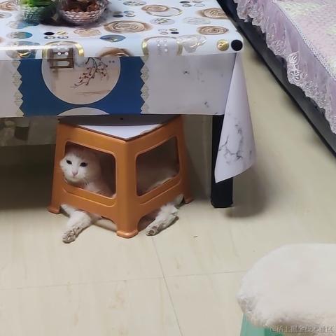 用户7210340961494于2023-01-24 21:46发布的图片