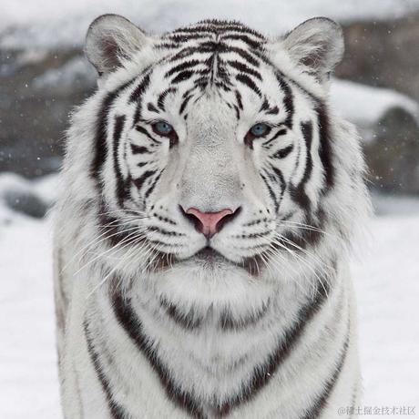 洛亦仙于2021-09-23 09:57发布的图片