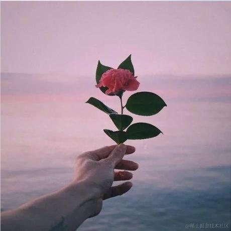 服部于2023-02-16 01:53发布的图片