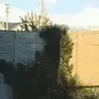 半修缘于2023-12-04 09:30发布的图片