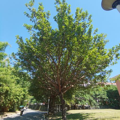 暮春于2022-11-15 00:50发布的图片