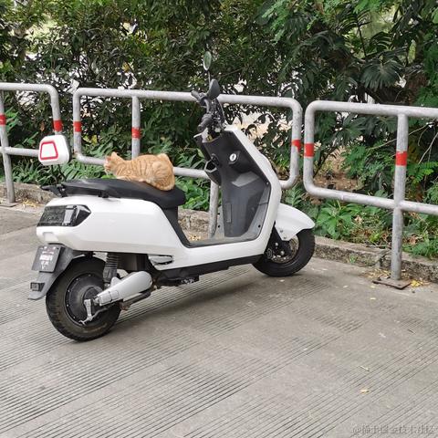 Wei于2022-11-02 23:46发布的图片