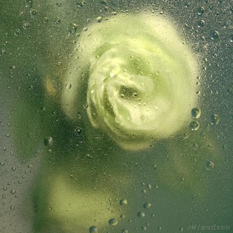 像风一样自由_xjy于2023-04-07 00:34发布的图片