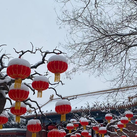 优弧于2022-02-13 19:51发布的图片