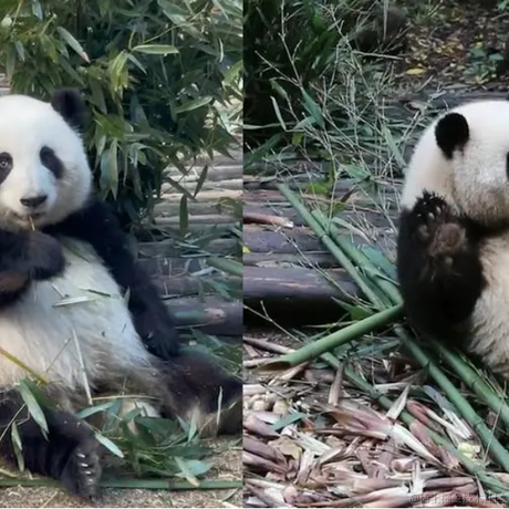 我不是有名字吗嘛于2023-05-31 08:40发布的图片