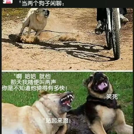 一个真正的鳗于2023-04-23 08:43发布的图片