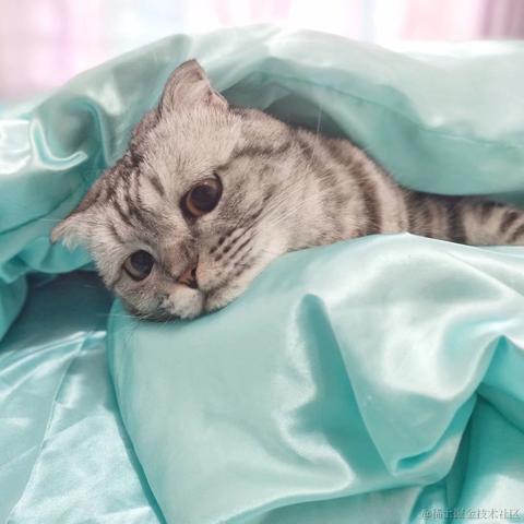 我的满头秀发呢于2023-05-16 13:17发布的图片