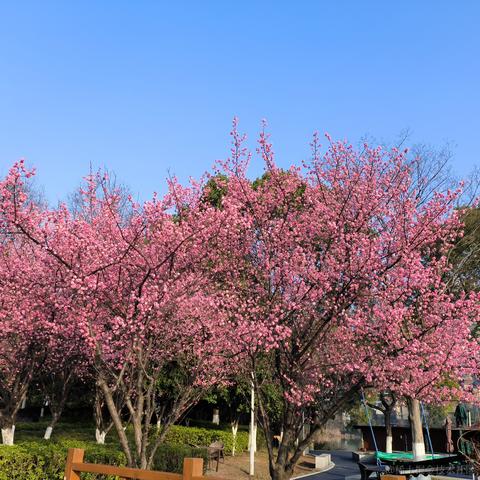 是小刘于2023-04-10 16:28发布的图片