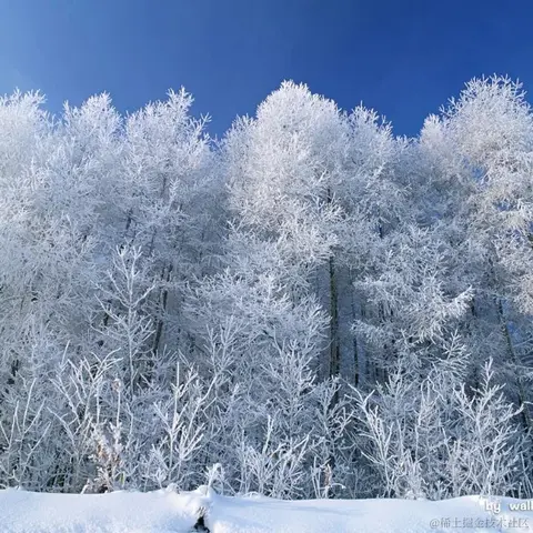 证果果于2022-12-06 08:16发布的图片