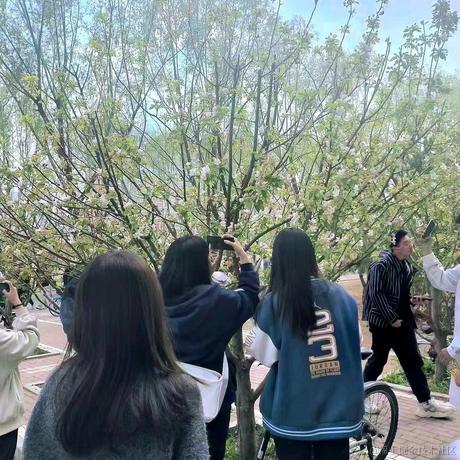 用户1008683613726于2023-04-29 20:43发布的图片