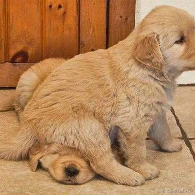 小橙子呀于2023-07-21 13:45发布的图片