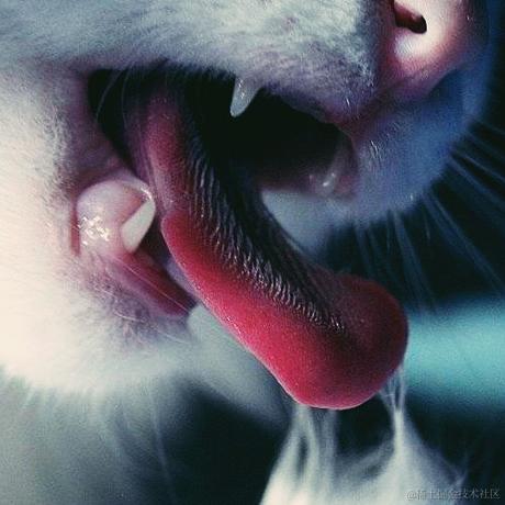 半月转转于2022-12-16 21:57发布的图片