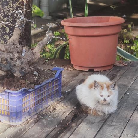 乃宝可爱捏于2022-11-26 14:37发布的图片