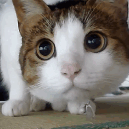 顾此失彼于2023-06-13 15:01发布的图片