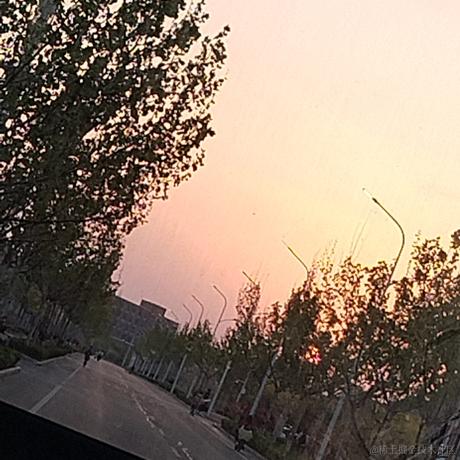 花道常假发于2023-04-08 22:31发布的图片