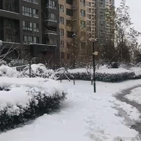 ForstDra于2023-12-11 09:25发布的图片