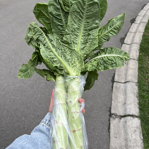 安酱于2023-04-22 09:21发布的图片