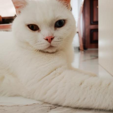 枝江求雨带师于2022-11-18 20:26发布的图片