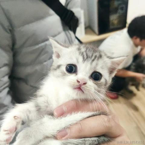 ipp_Xochitl于2022-05-09 17:22发布的图片
