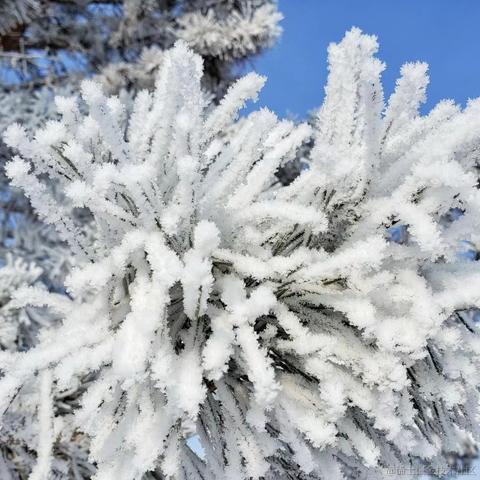 彩虹糖的梦于2023-01-18 15:54发布的图片