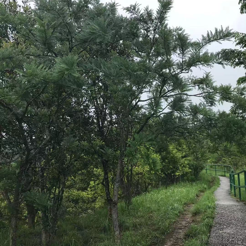 stanleykubrick于2022-11-12 13:05发布的图片