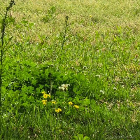 vincookies于2023-04-14 23:47发布的图片