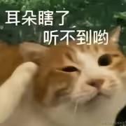 老丈人于2024-05-27 10:24发布的图片