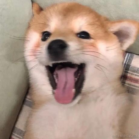 boom吖于2021-05-15 21:48发布的图片