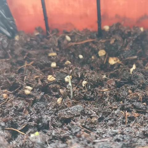 youth_于2022-05-17 08:43发布的图片