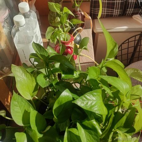 八哥的温柔乡于2022-12-19 10:44发布的图片