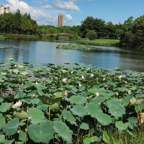 seokjjn于2023-07-26 08:28发布的图片