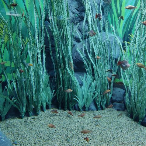 吃鱼徐于2023-05-24 10:37发布的图片