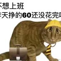 美丽不打折于2024-01-15 08:57发布的图片