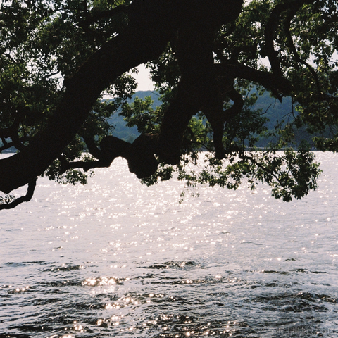 紫菜捏于2022-11-16 09:52发布的图片