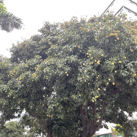 百年孤独html于2023-05-23 23:02发布的图片