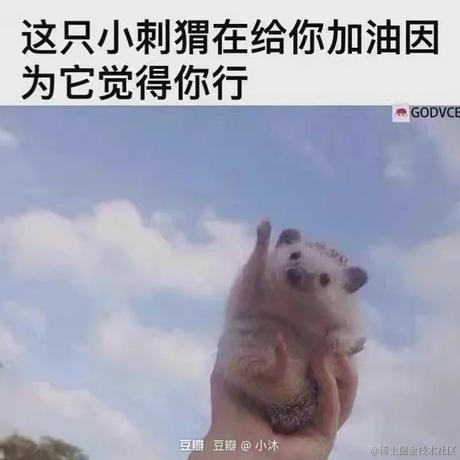 变成光守护莲宝于2022-11-28 00:17发布的图片