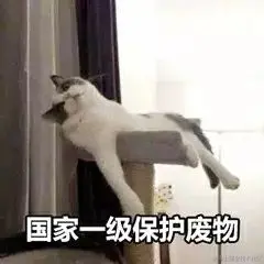 ts1.gif