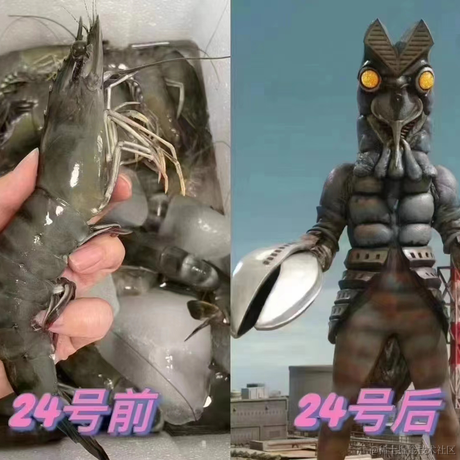 小橙子呀于2023-08-24 16:18发布的图片