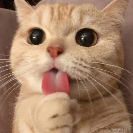 树洞robot于2021-07-28 14:47发布的图片