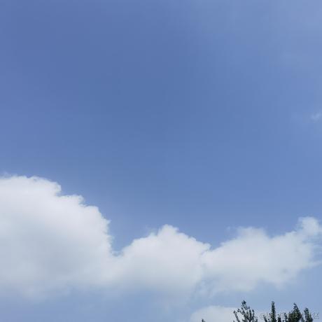 不知酱于2022-06-15 09:34发布的图片