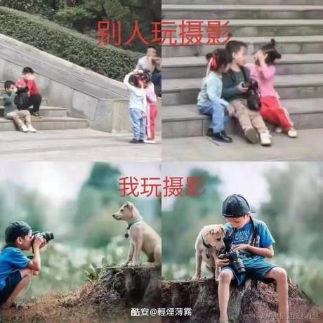 乃琳困困困于2022-12-01 19:01发布的图片