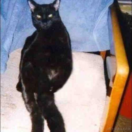 新世纪玉玉战士于2022-12-16 08:48发布的图片