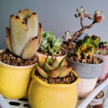 xtsoo于2022-12-06 19:26发布的图片