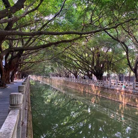 电话你先挂于2022-12-03 07:51发布的图片