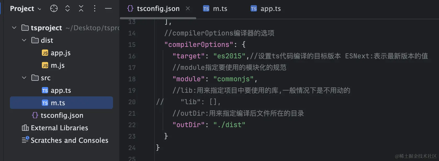 compilerOptions.png