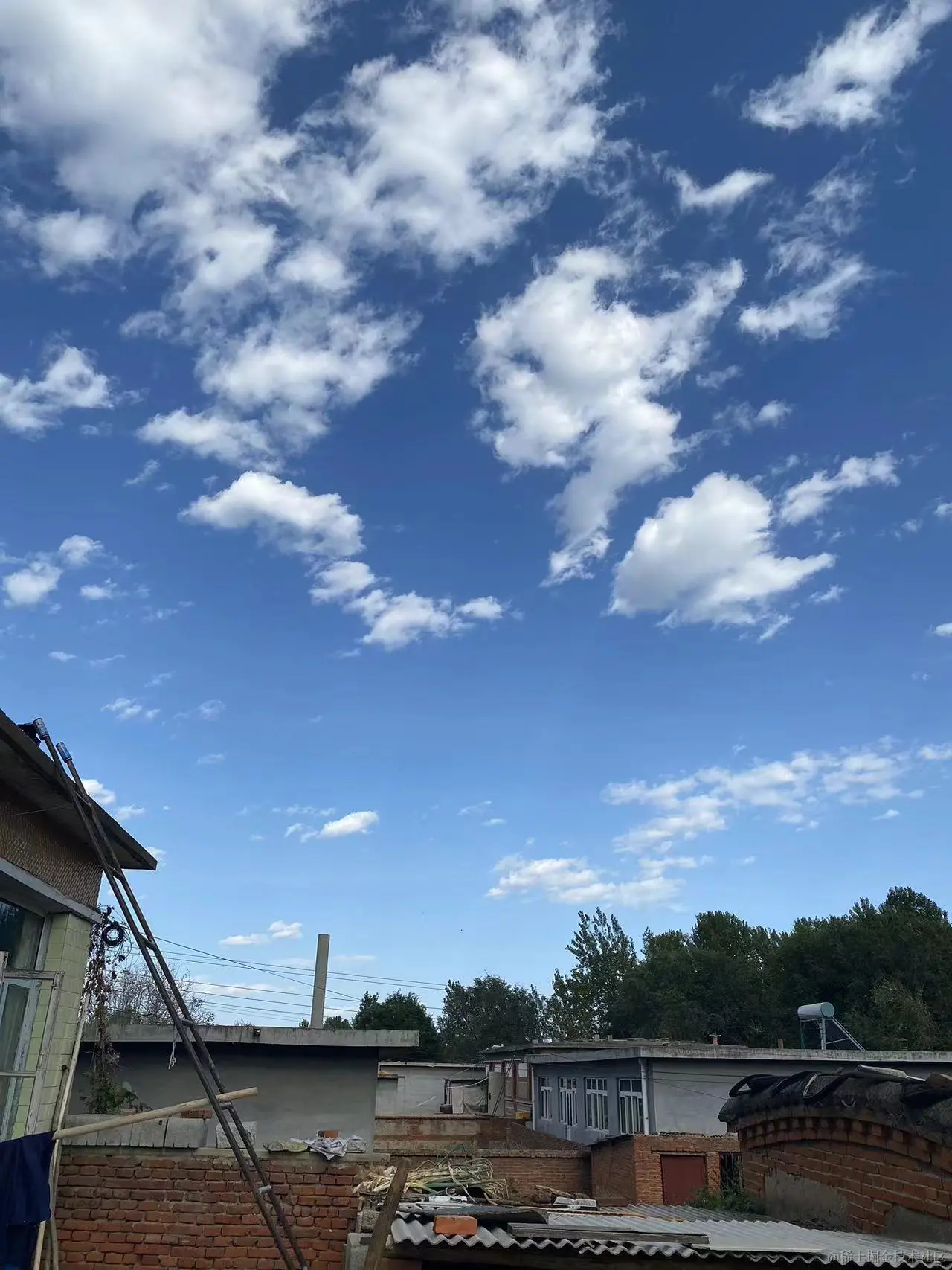 89.jpg