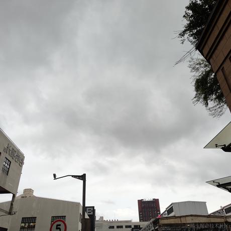 山隹隹_Calix于2023-08-28 18:13发布的图片