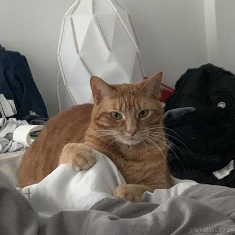 moremorefree001于2021-01-05 09:53发布的图片